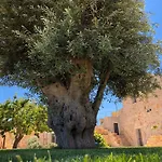 Augusta Trulli