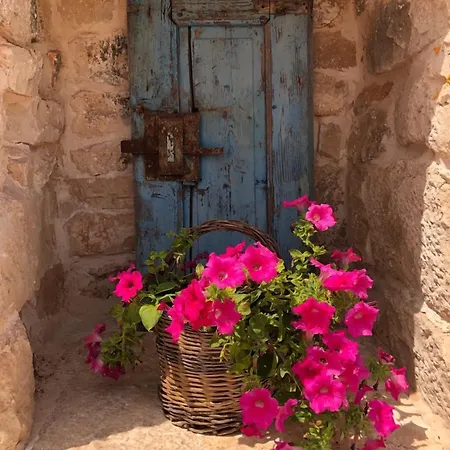 Augusta Trulli * פולינאנו א מארה