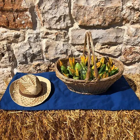 Augusta Trulli *
