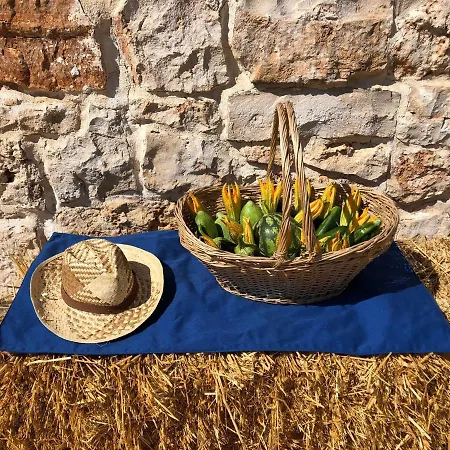 Augusta Trulli *