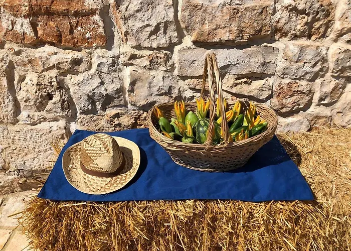 Augusta Trulli *