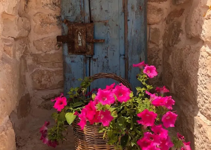 Augusta Trulli * פולינאנו א מארה